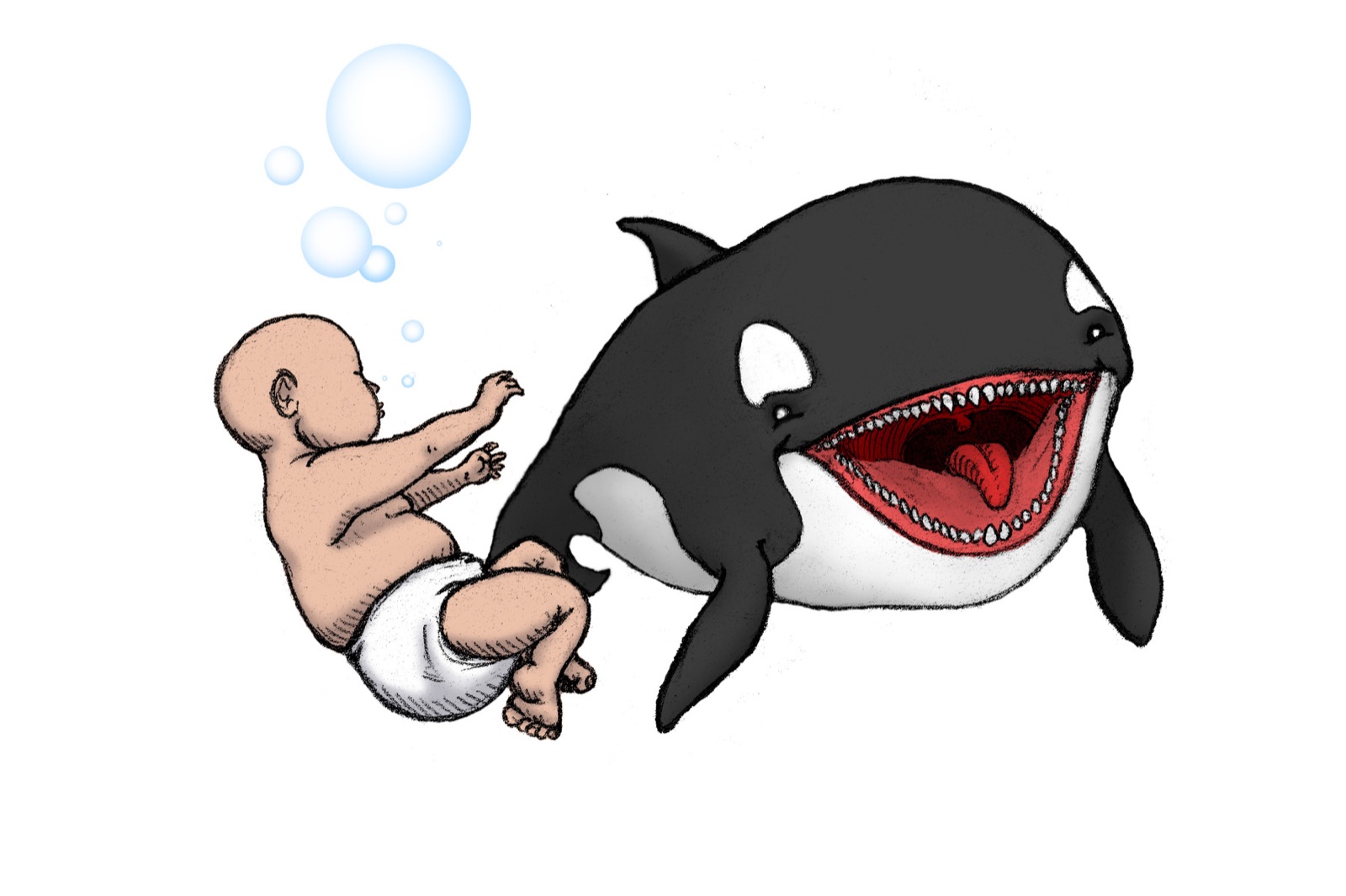 Orcakinder no. 2 — underwater.