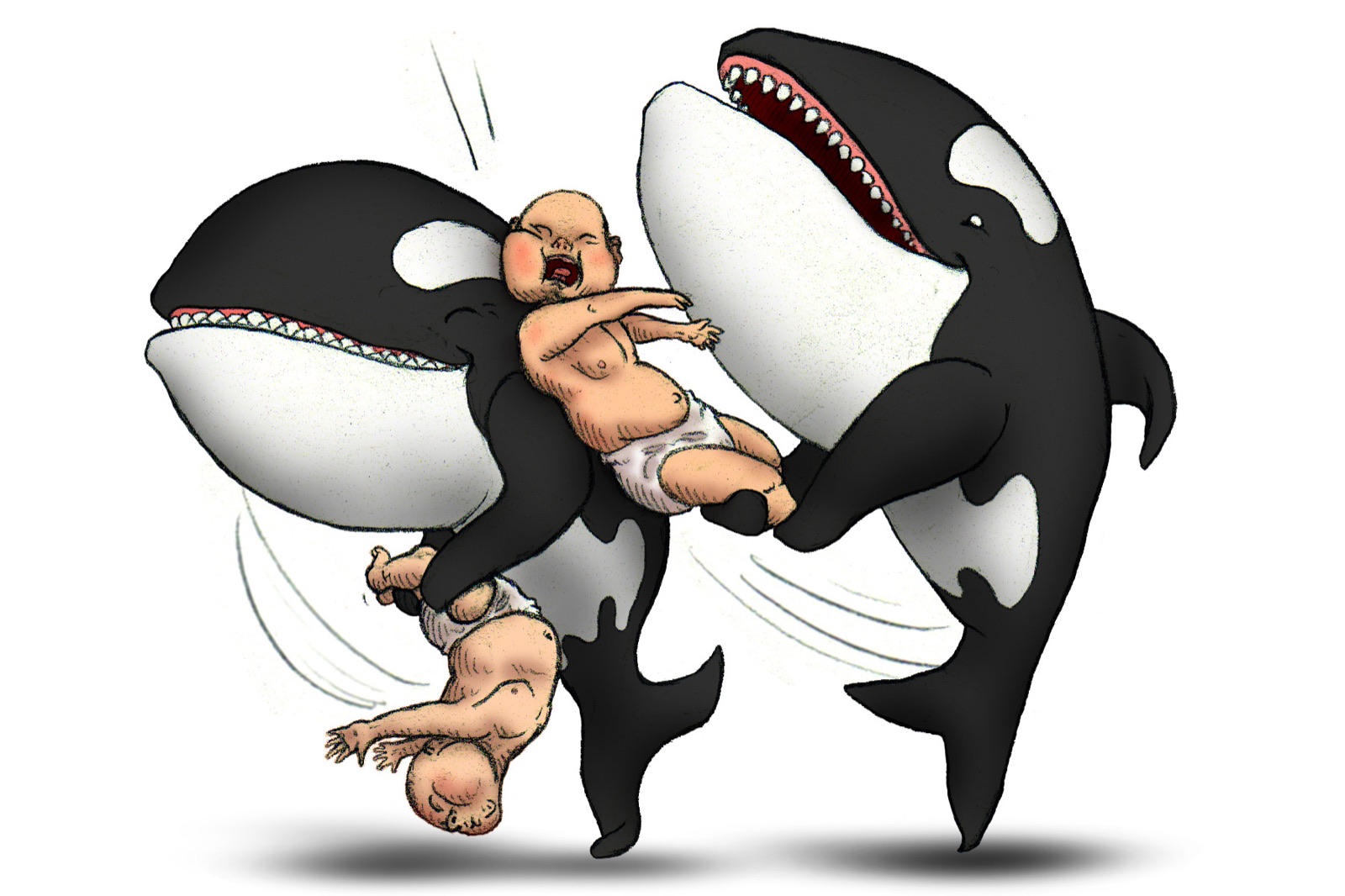 Orcakinder no. 11 — baby fight.
